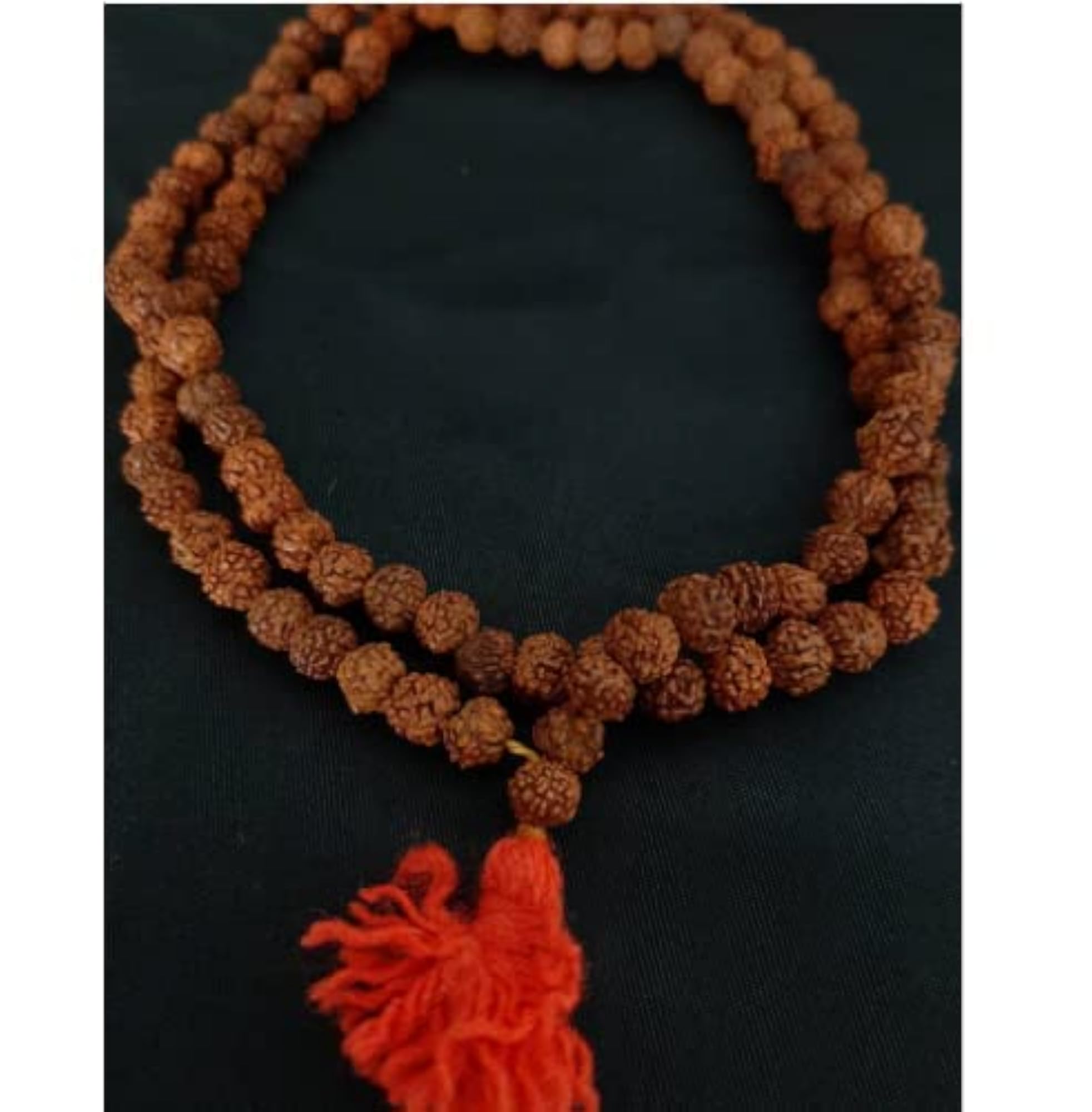 5 Mukhi Rudraksha Mala Necklace, Original Certified